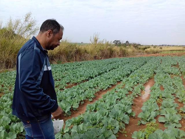 2017105_FOTO - Vereador quer Feira do Produtor noturna em Nova Odessa (1)